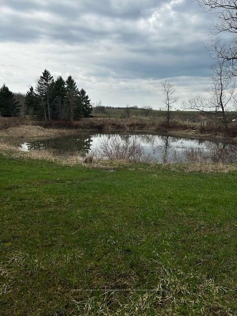 Property Photo: 207 Concession Road 2 N/A ON N0G 2N0