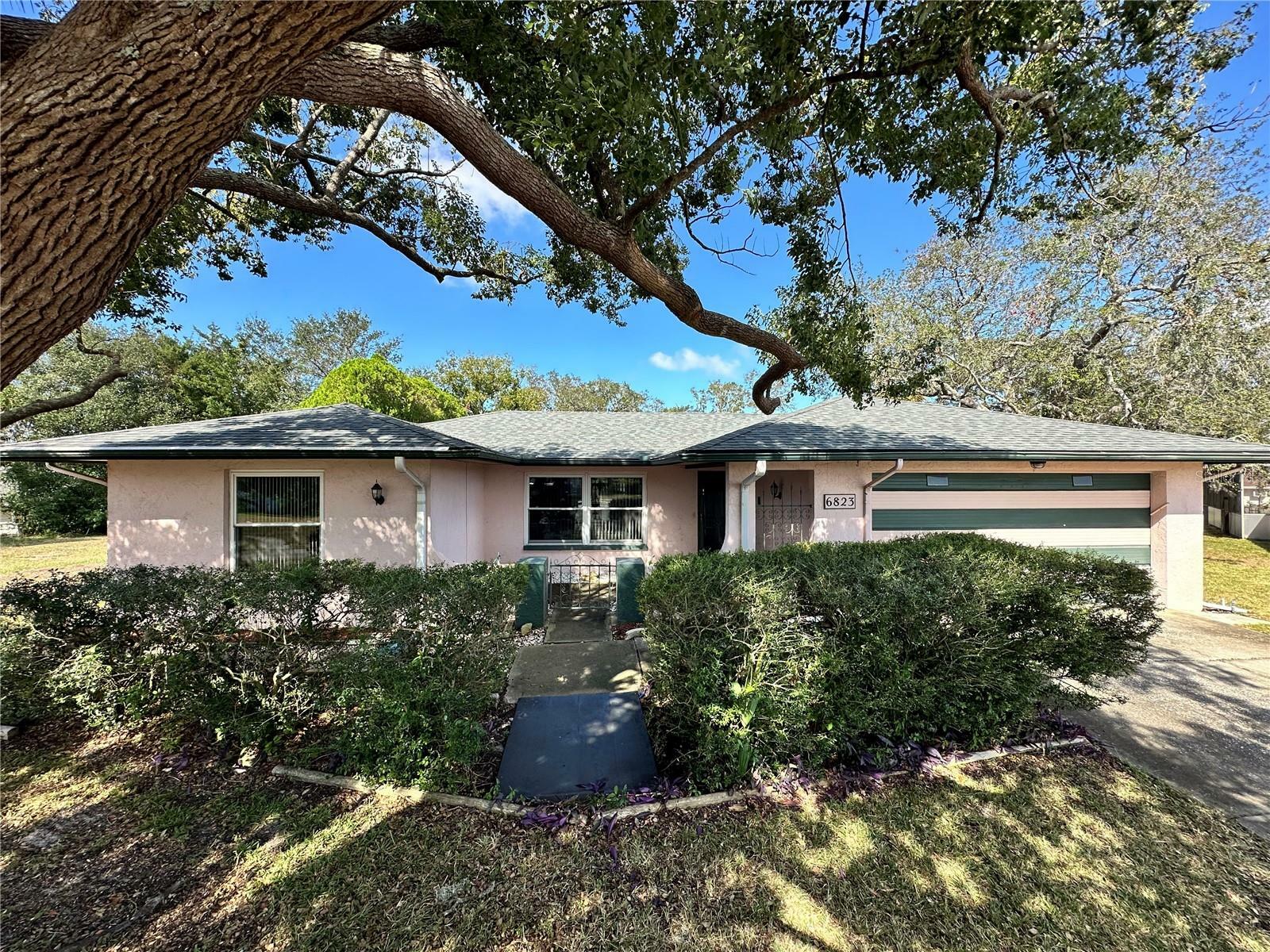 Property Photo: 6823 Bottle Brush Drive FL 34668