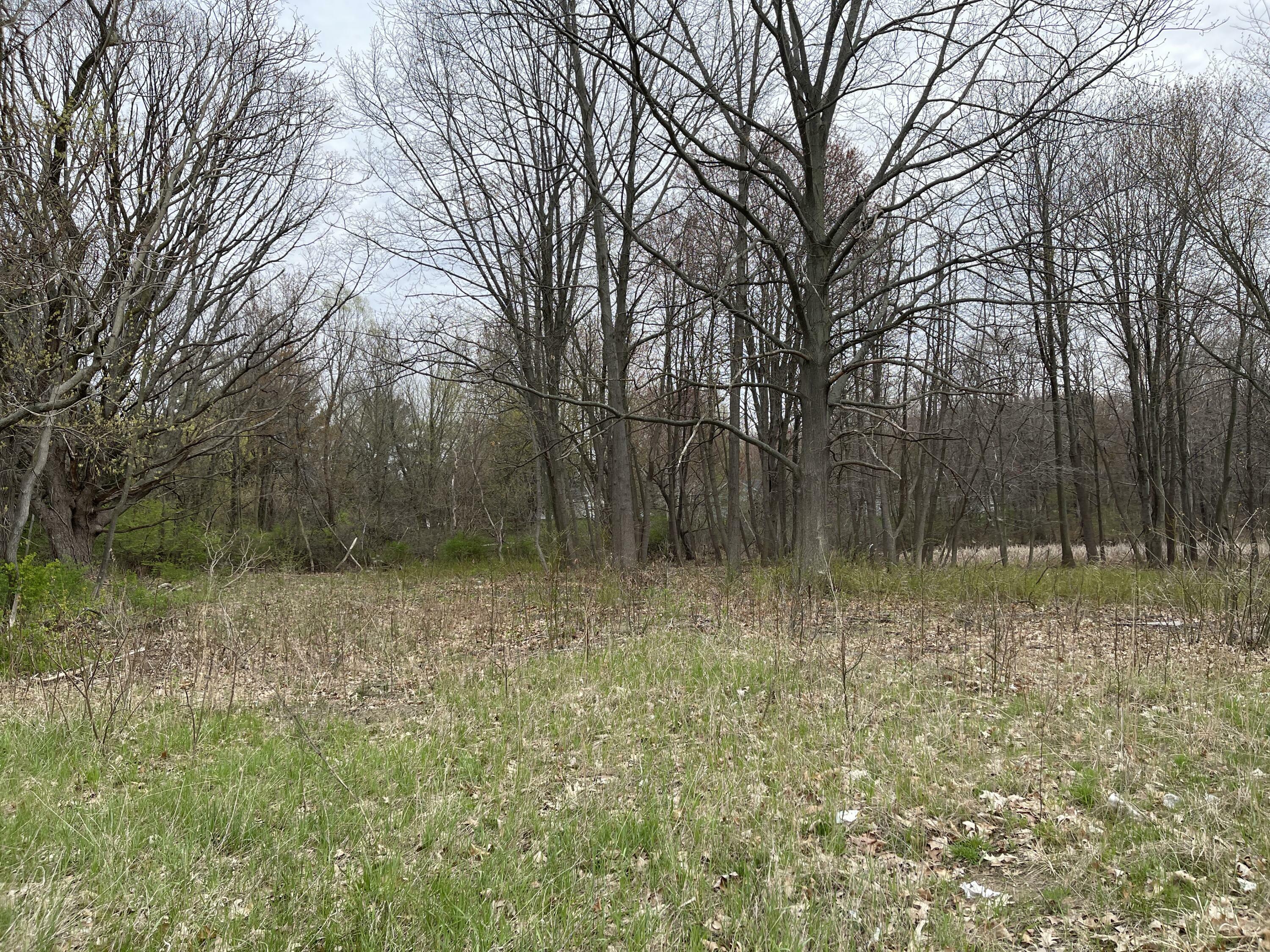 Property Photo:  000 Red Arrow Highway  MI 49127 