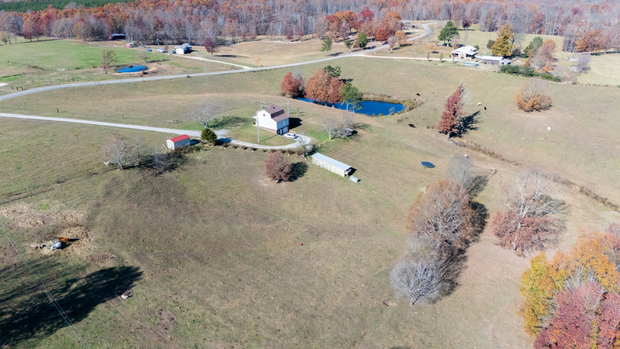 Property Photo:  4062 Jesse Littleton Rd  TN 38463 