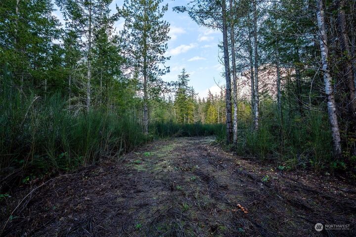 Property Photo:  0  Larson Lane NW  WA 98380 
