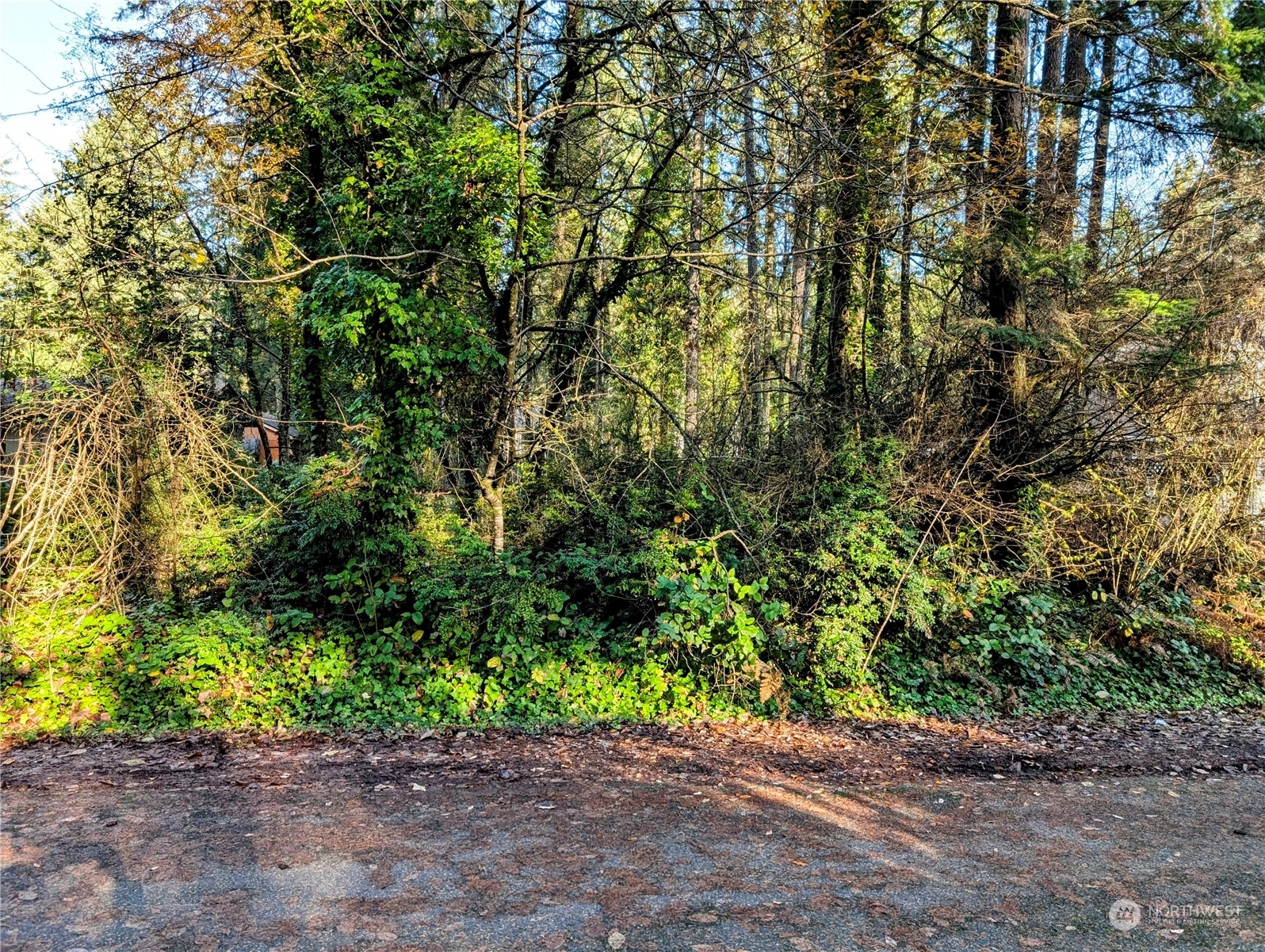 Property Photo:  14713  106th Street Ct NW  WA 98329 