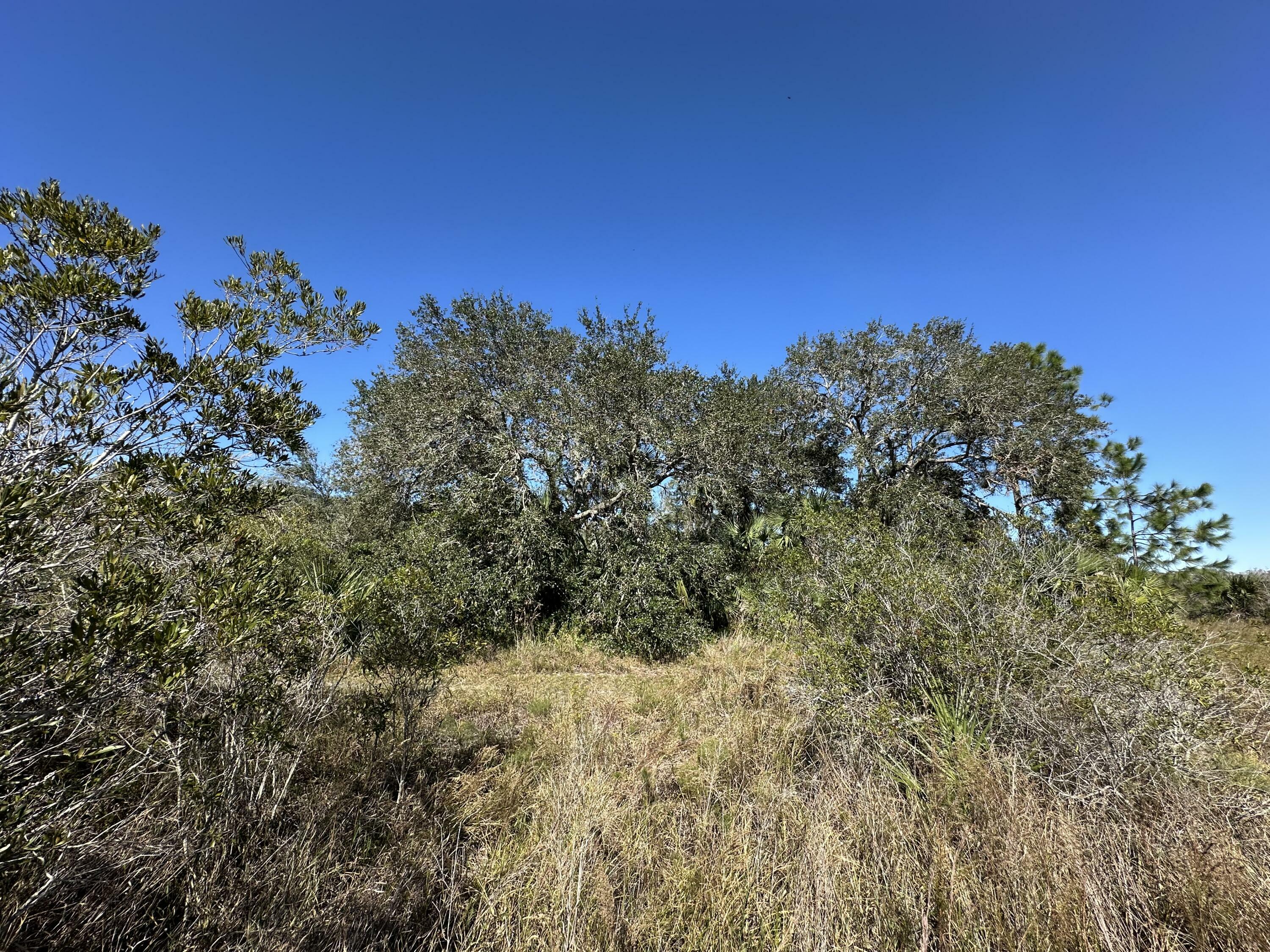 Property Photo: 15415 NW 292nd Street FL 34972
