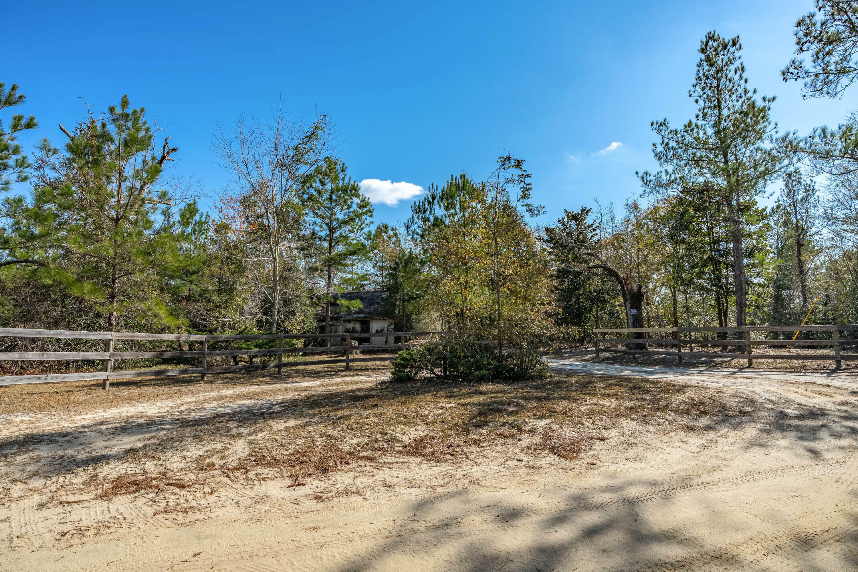 Property Photo:  491 Shealy Pond Road  SC 29105 