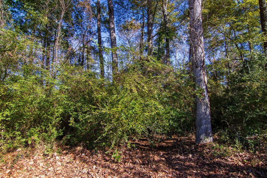 Property Photo:  0 Foxboro Drive  GA 31907 