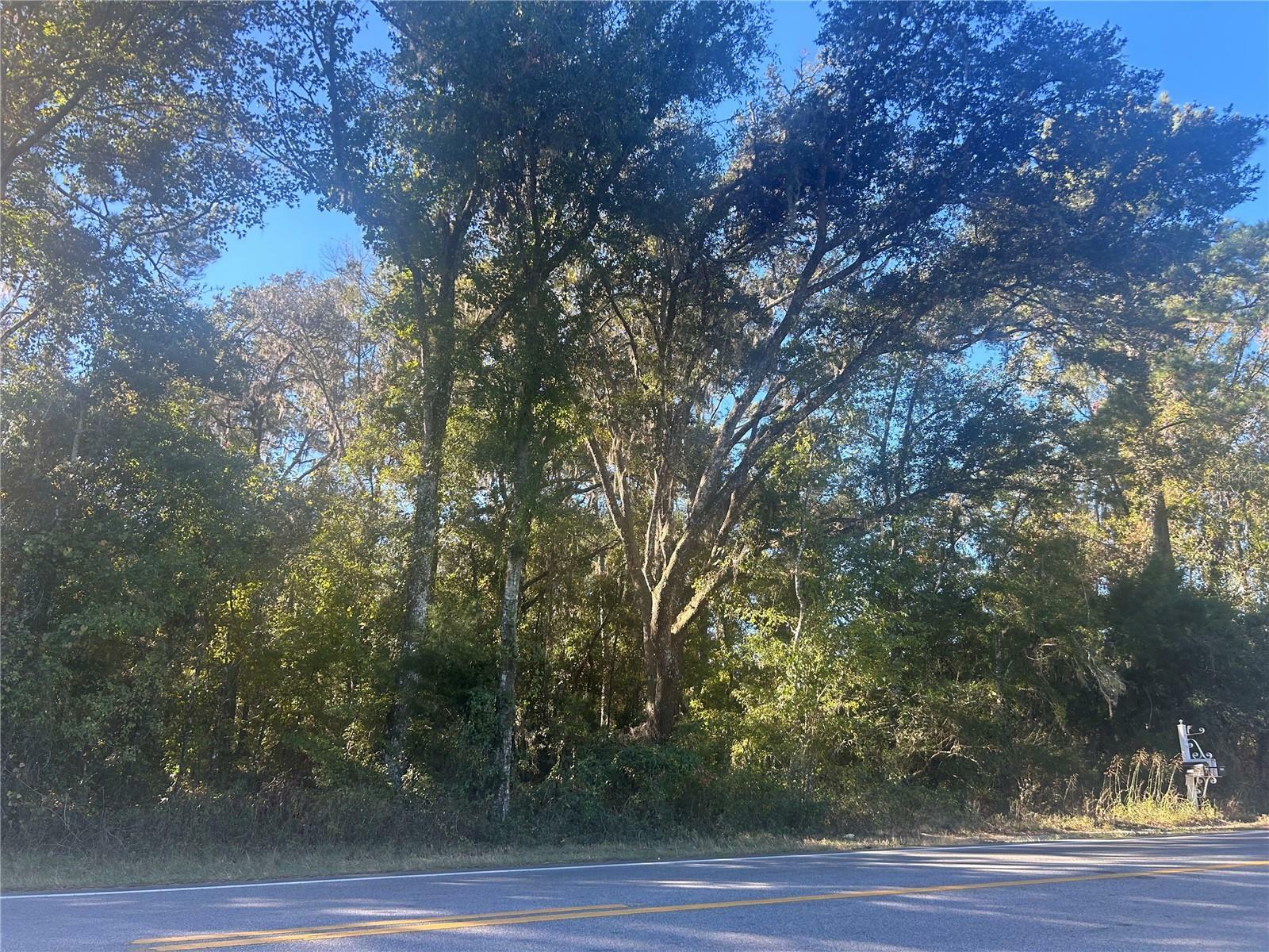 Property Photo: Tbd Hwy 464B FL 32668