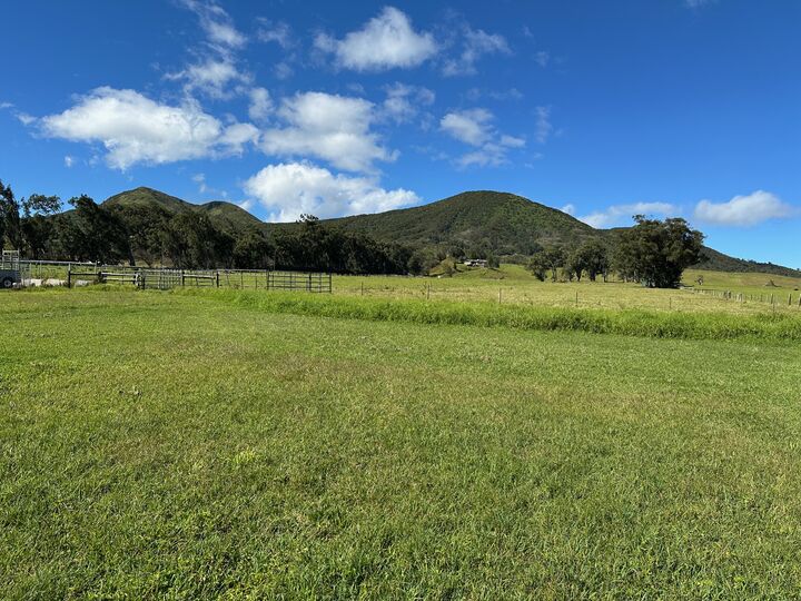 Property Photo: 64-550 Mamalahoa Highway HI 96743