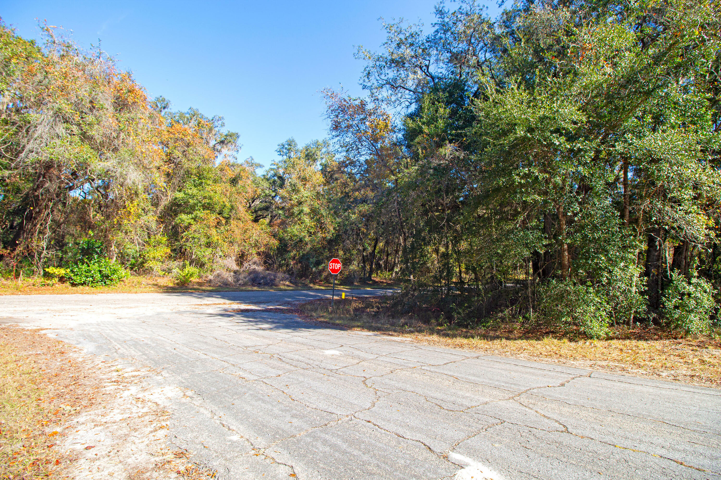 Property Photo:  717 E Noah Lane  FL 34434 