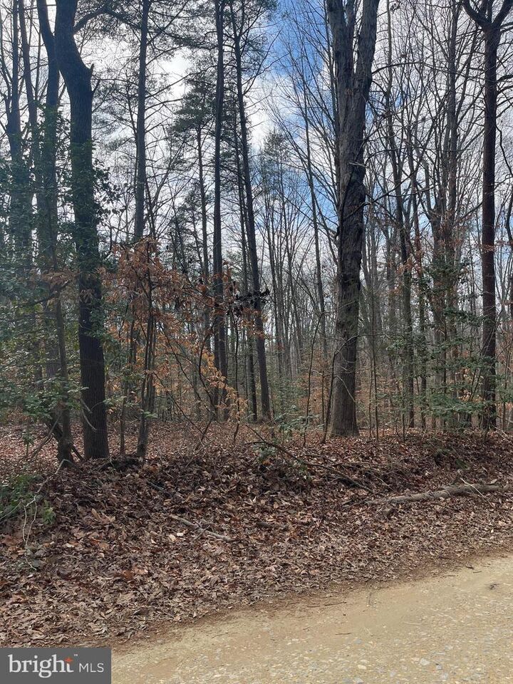 Property Photo:  6317 Little Acres Lane  VA 22580 