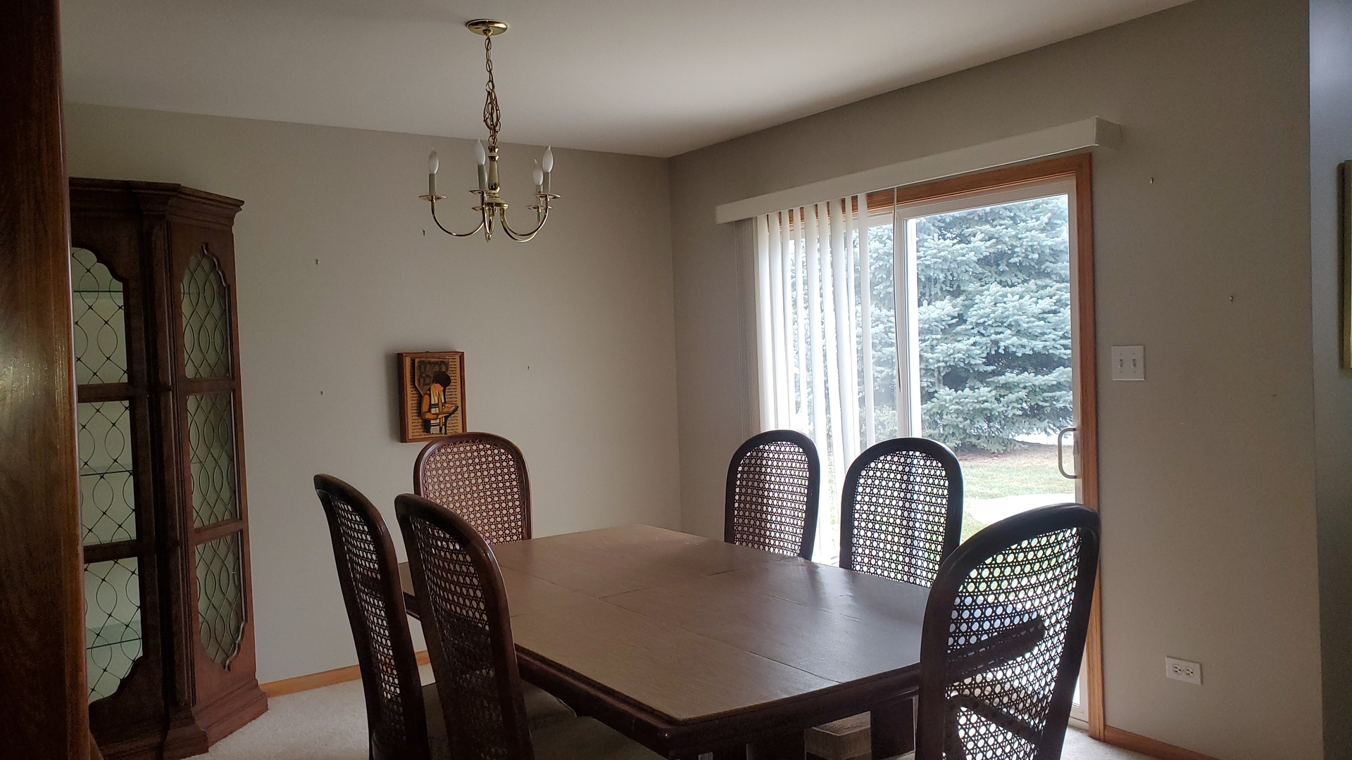 Property Photo:  1009 Mikasa Court  IL 60431 