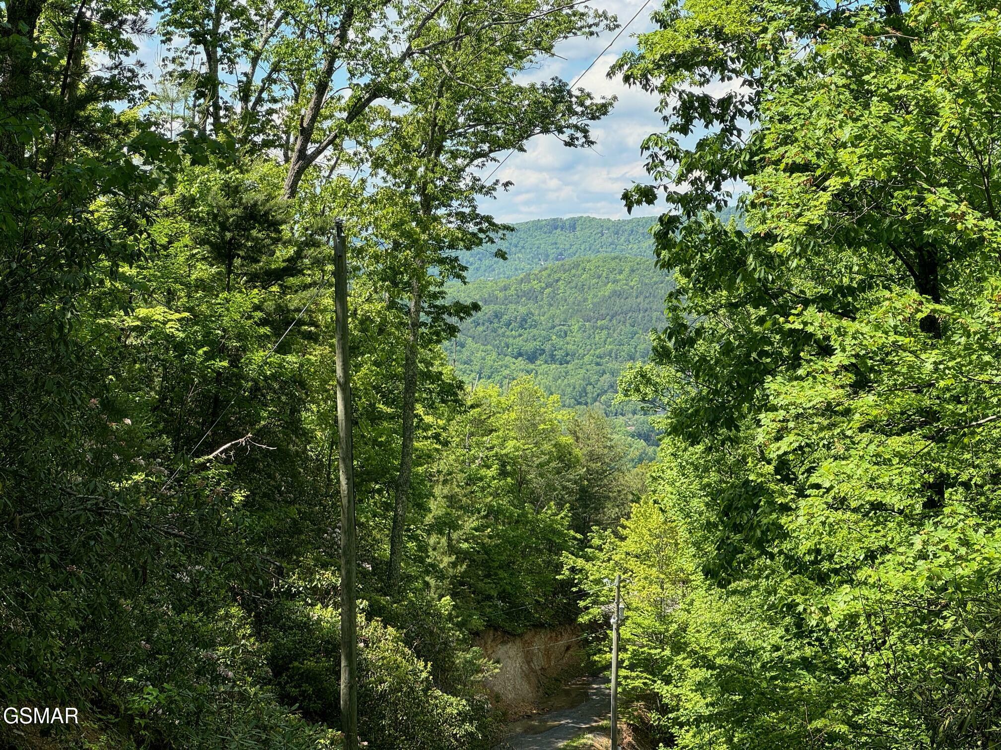 Property Photo:  Lot 2 High Ridge Way  TN 37862 