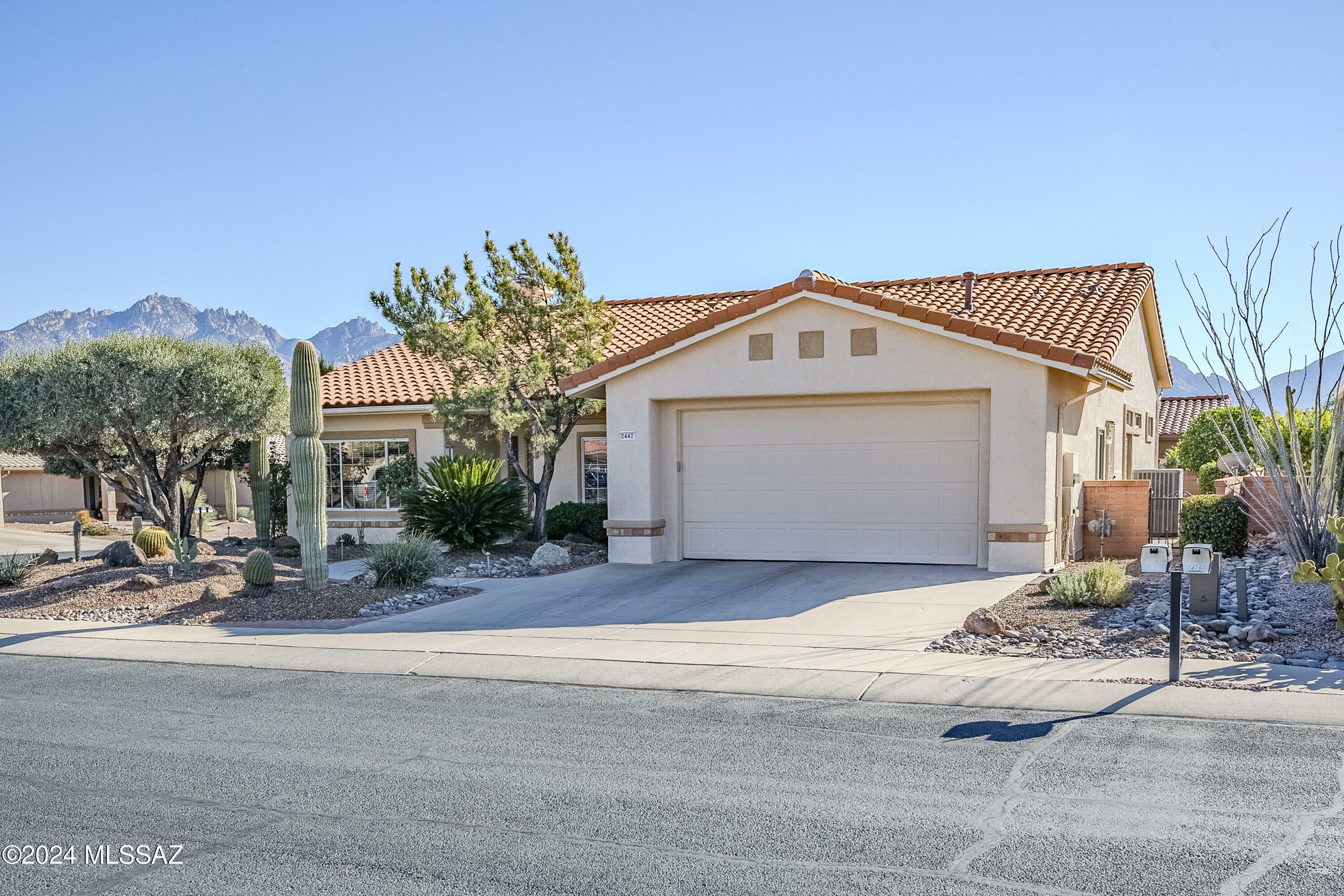 2442 E Nasturtium Street  Oro Valley AZ 85755 photo