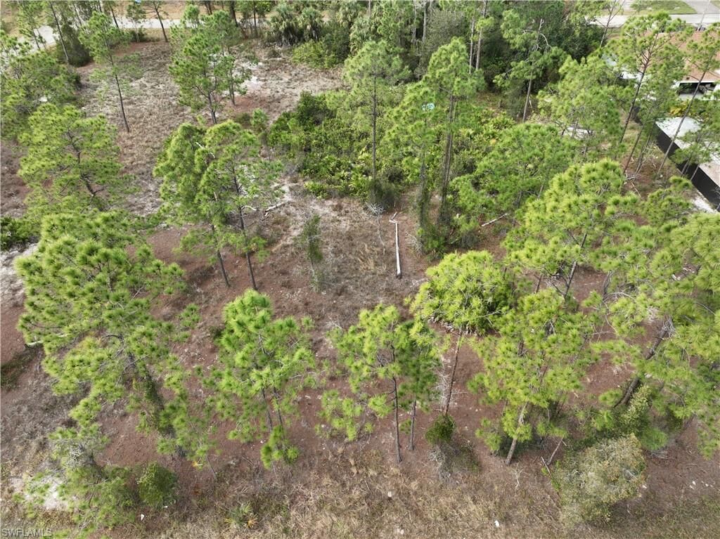 Property Photo: 812 Chapman Ave S FL 33974
