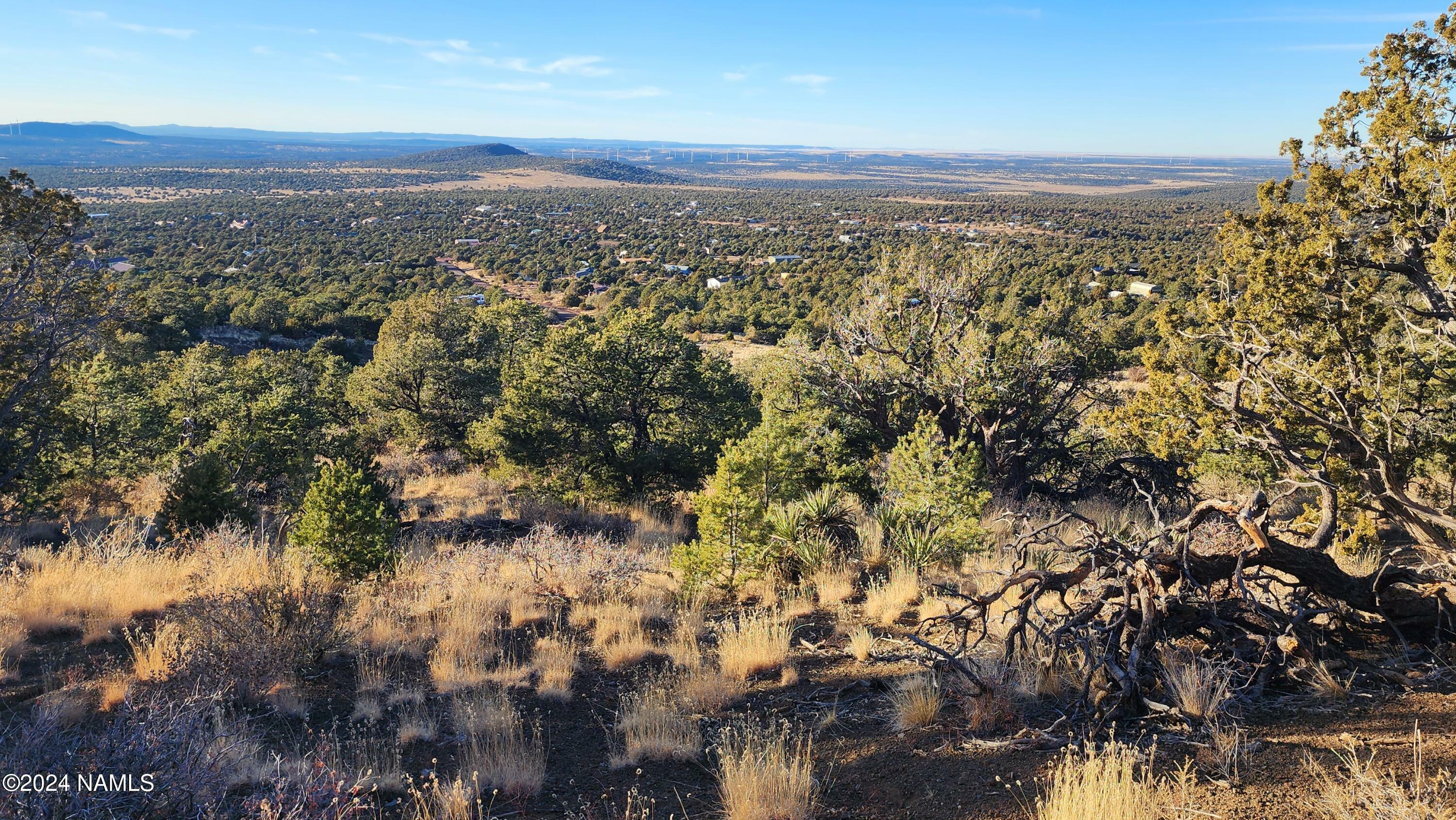 Parcel # 20202016R  Williams AZ 86046 photo