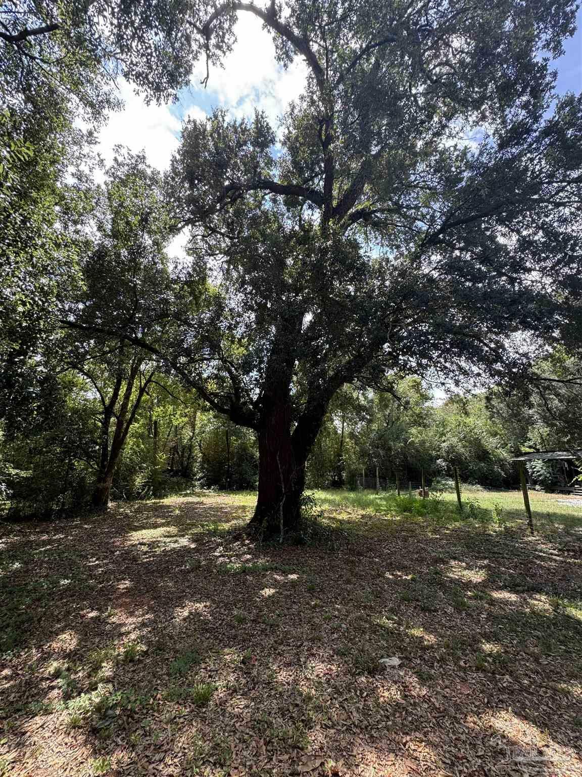 Property Photo: 1321 John Carroll Dr FL 32504