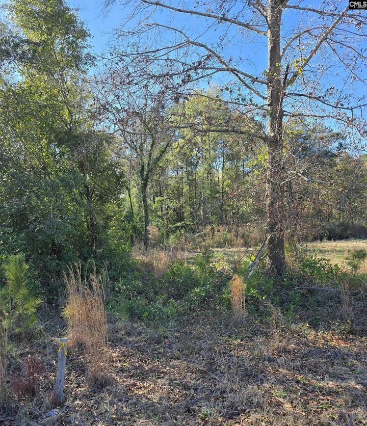 Property Photo: 0 Popular Lot 1 SC 29033