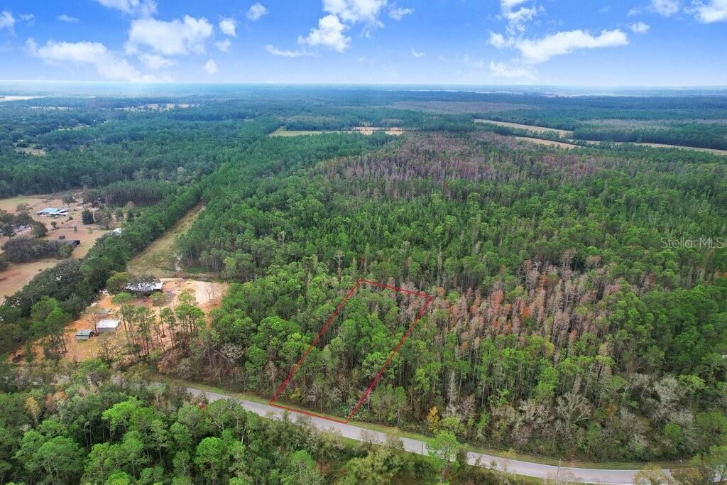 Property Photo:  Poyner Road  FL 33868 