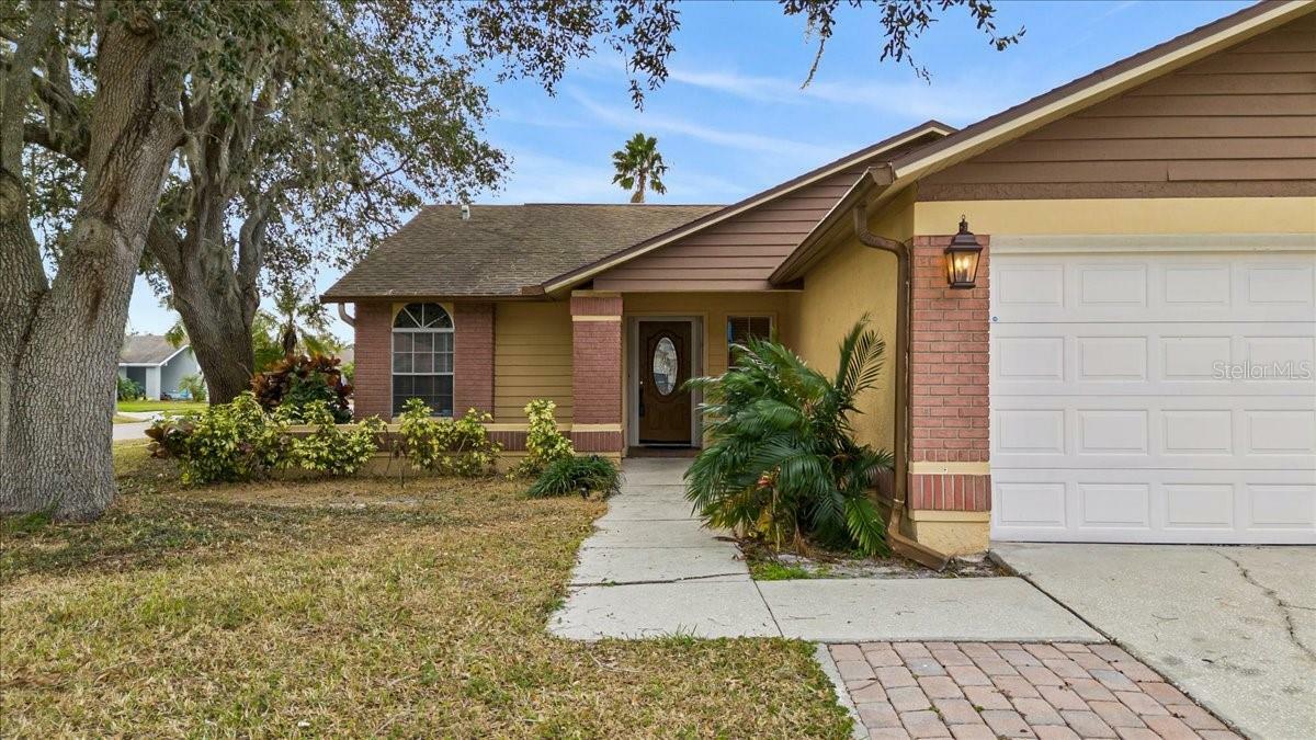 Property Photo:  11902 Snapdragon Road  FL 33635 