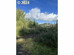 930 NE Highway 20  Toledo OR 97391 photo