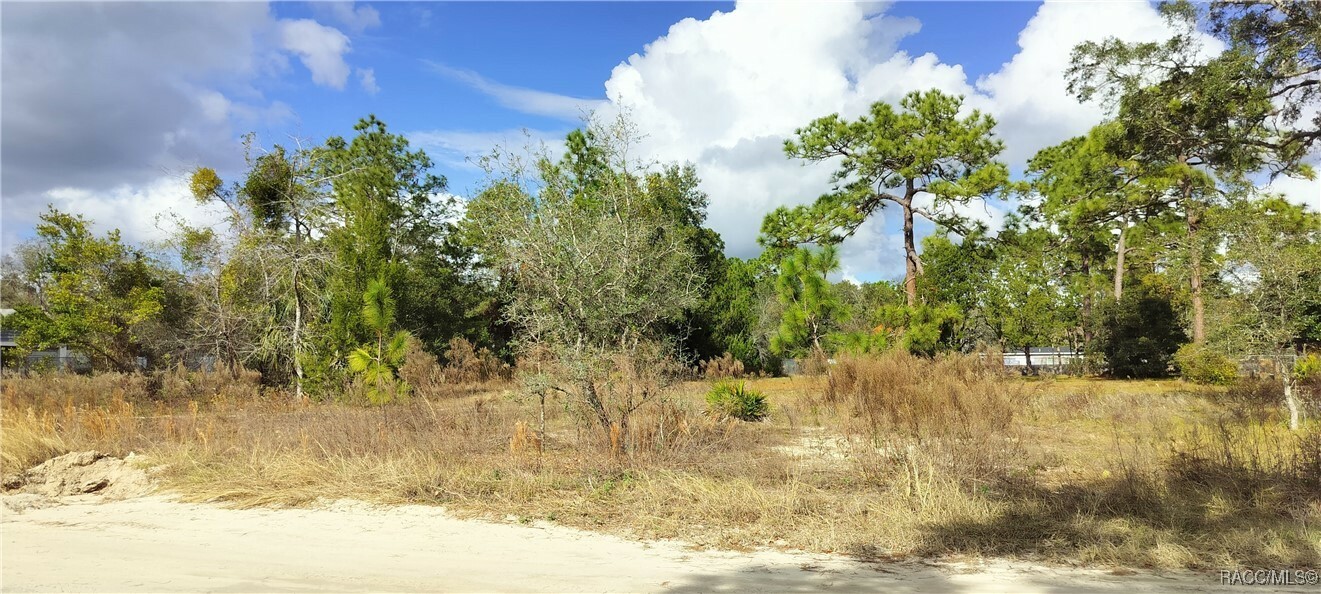 Property Photo:  4364 S Velma Point  FL 34446 