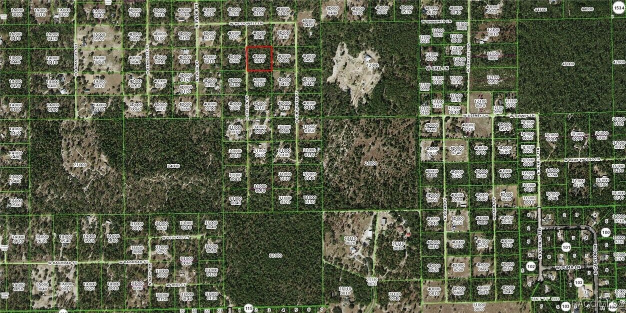 Property Photo: 6653 N Zircon Point FL 34433