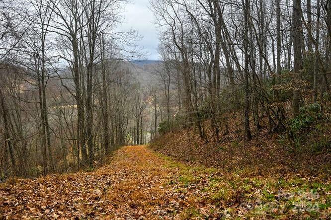19 Flowing Hills Drive 19, 20  Clyde NC 28721 photo