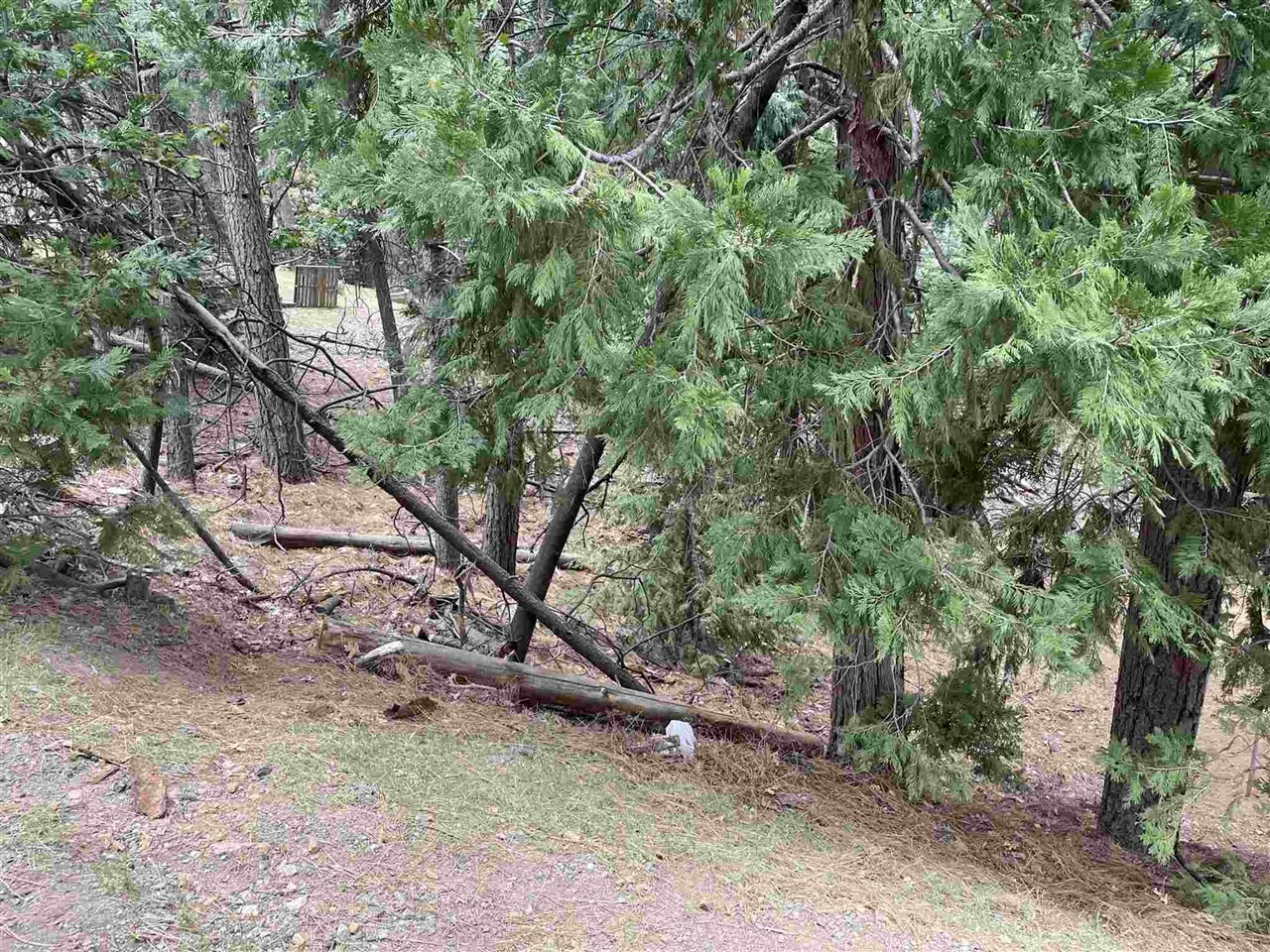 Property Photo: 23999 S Oxbow CA 95370