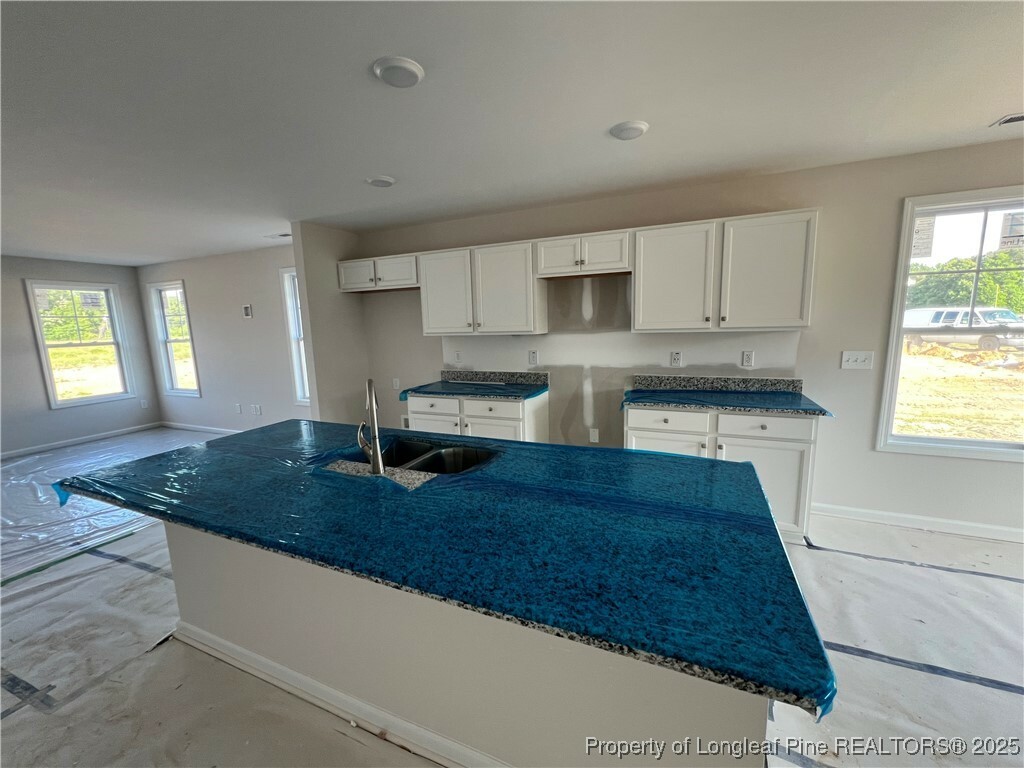 Property Photo: 132 Dalton Drive NC 28357