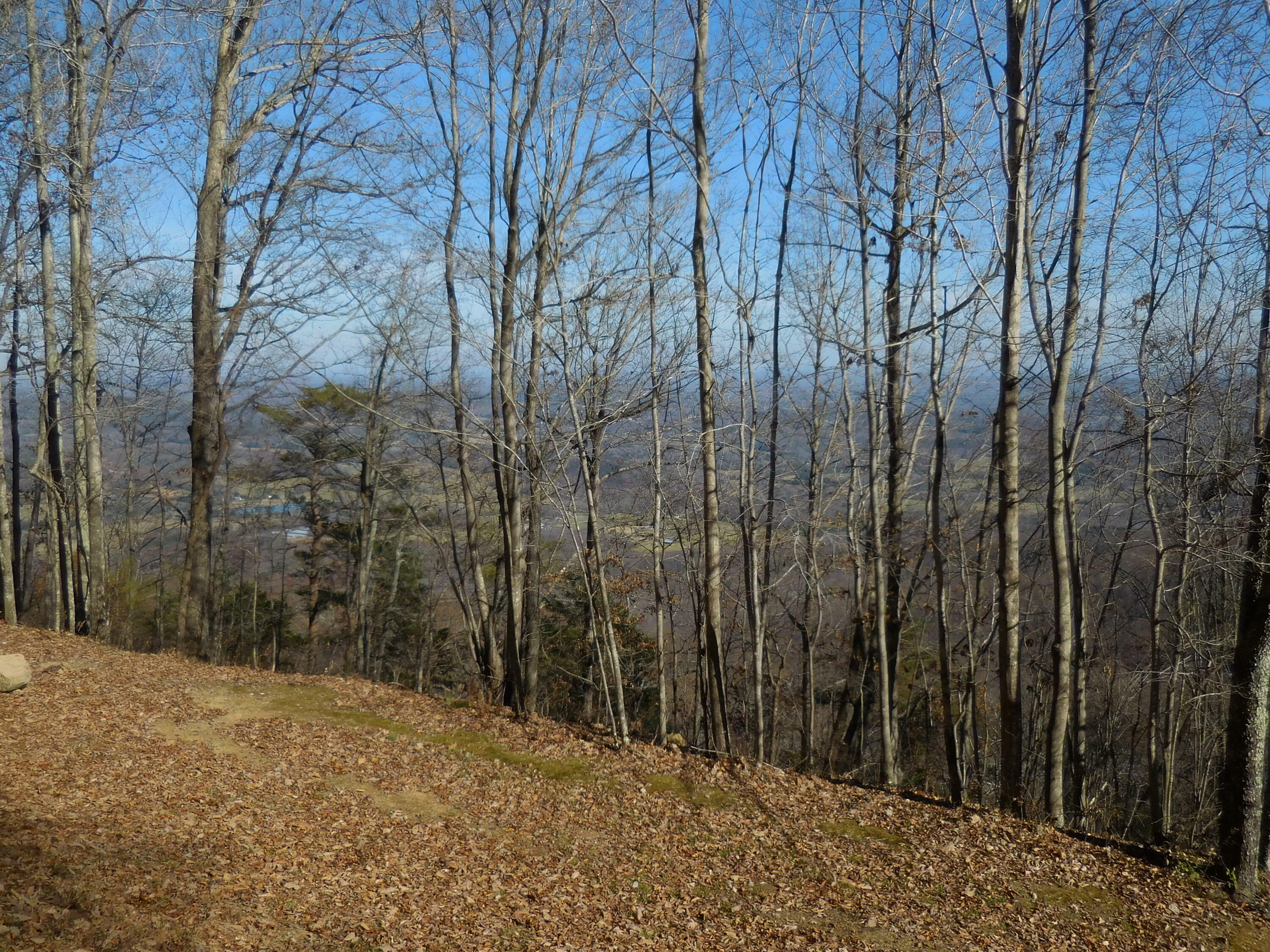 Property Photo:  F06 Forester Overlook Road  GA 30731 