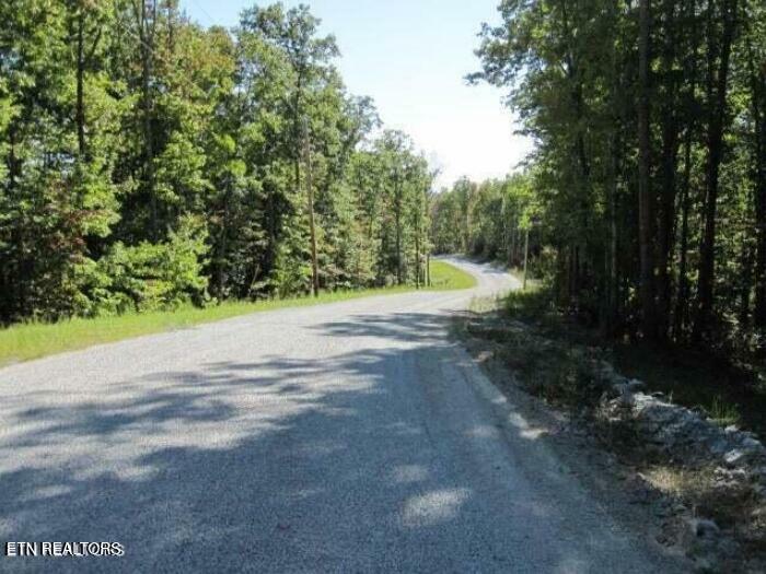 Property Photo:  Lot 12 Green Ridge Tr  TN 37748 