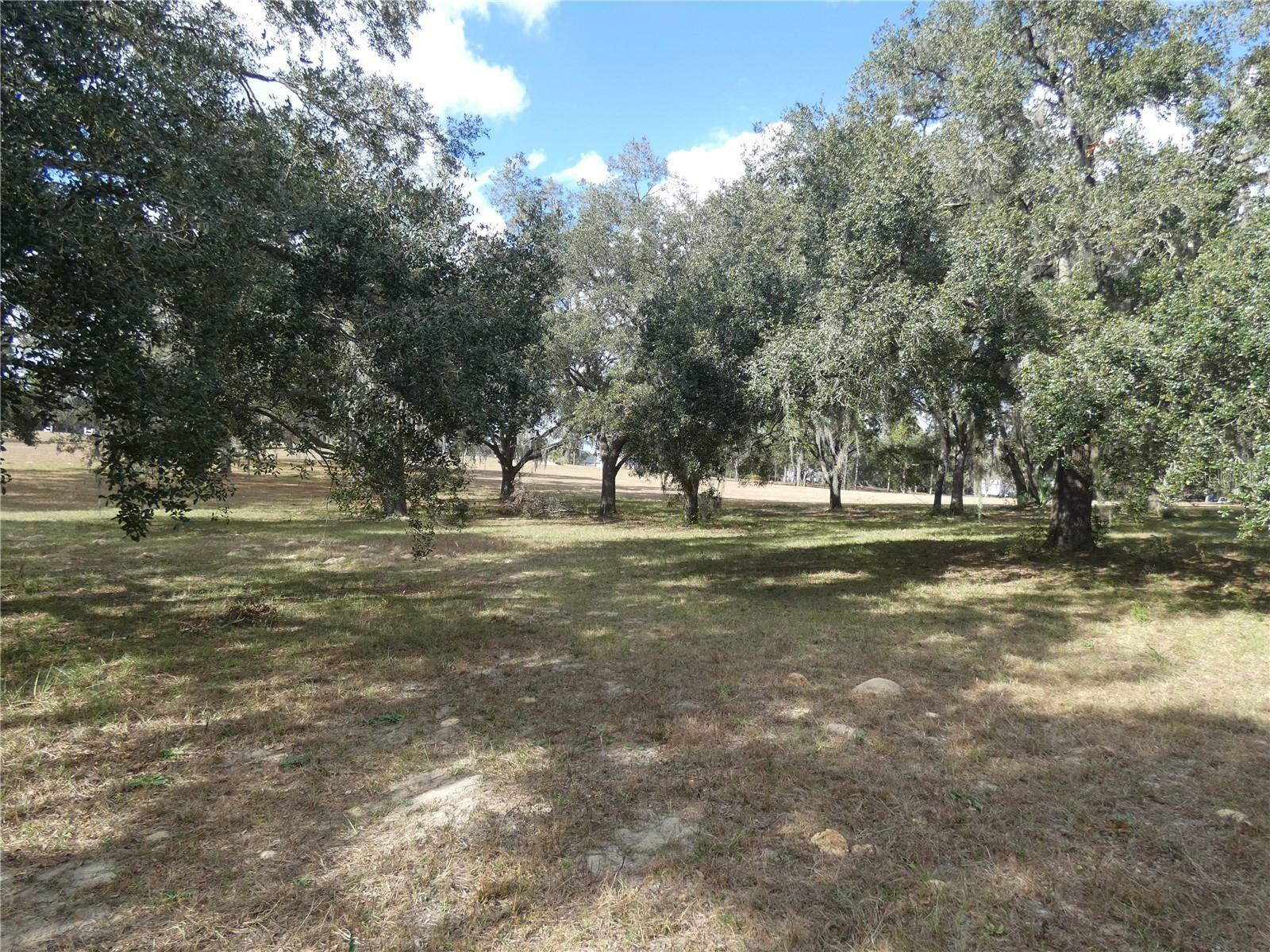 Property Photo:  10887 N Circle M Avenue  FL 34433 