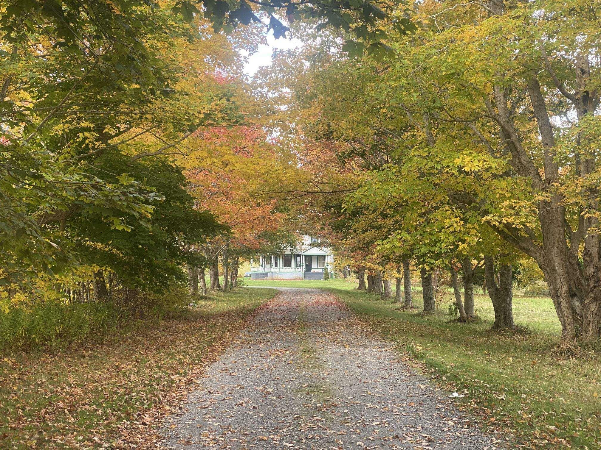 Property Photo:  439 Johnson Road  NS B1Y 3B7 