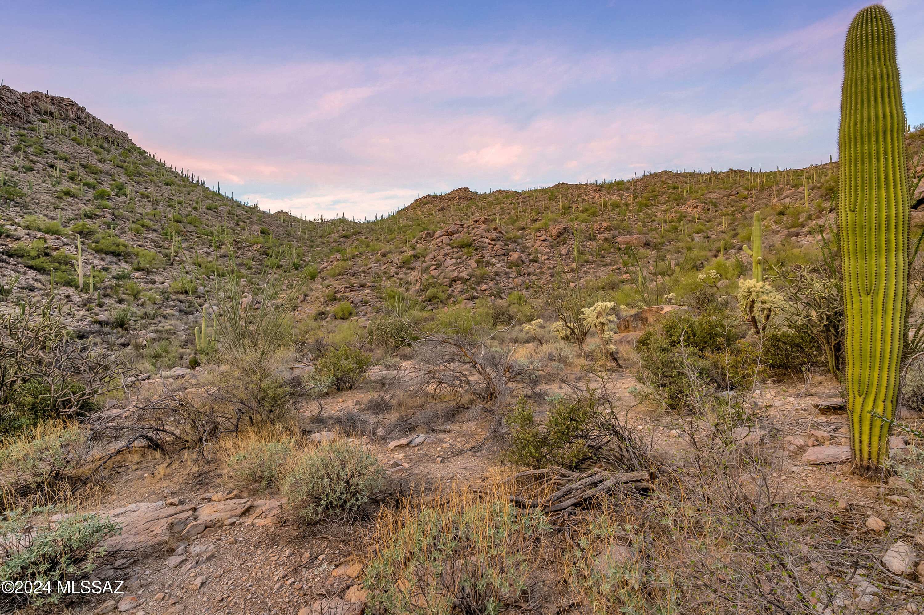 Property Photo: 5282 W Gallery Canyon Place 7 AZ 85658