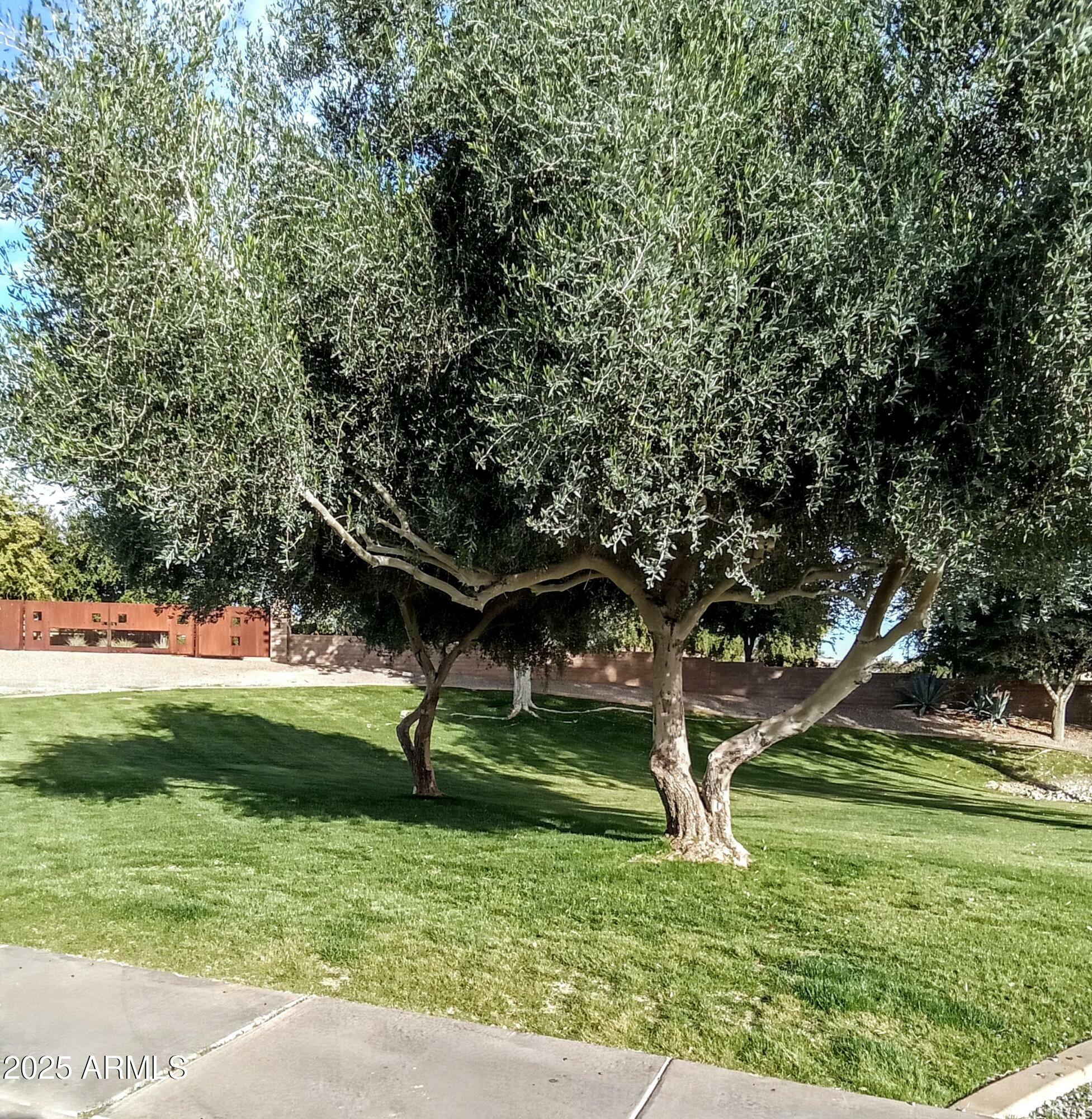 Property Photo:  28831 N 128th Drive  AZ 85383 