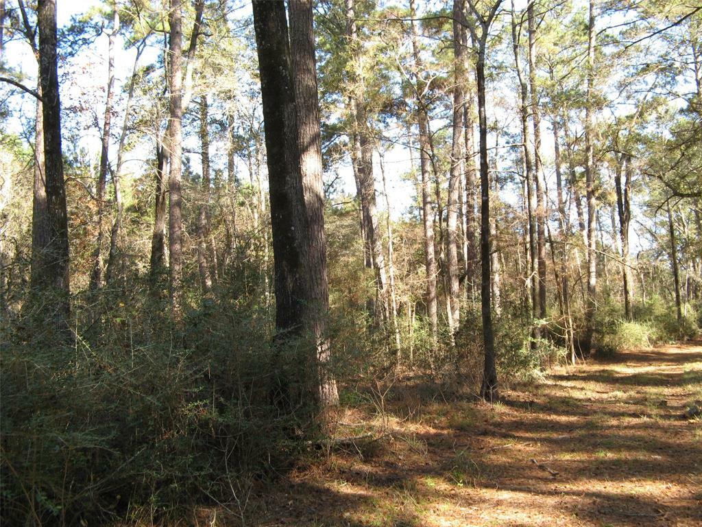 Property Photo: 0 Tbd Beef Road TX 75845