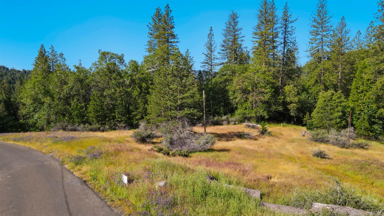 Property Photo:  3340 Meyers Road  CA 95709 