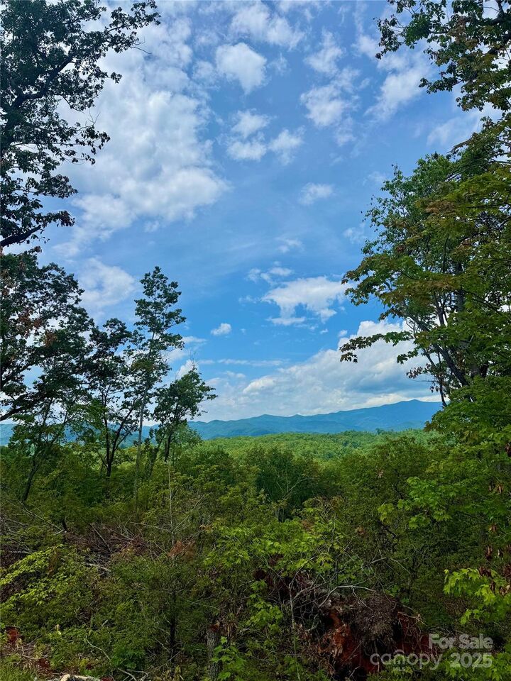 Property Photo: 182 Warren Ridge Drive 7 NC 28762