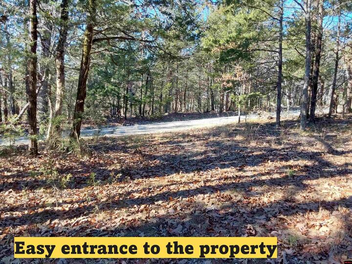 Property Photo:  Lot 1-4 Mc 131  AR 72661 