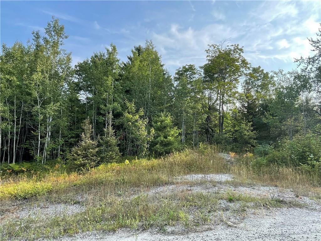 Part Lot 2 Leduc Road  West Nipissing ON P0H 1M0 photo