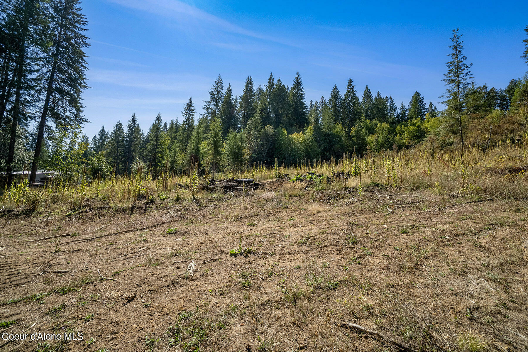 Lot2 N Casper Trail  Rathdrum ID 83858 photo