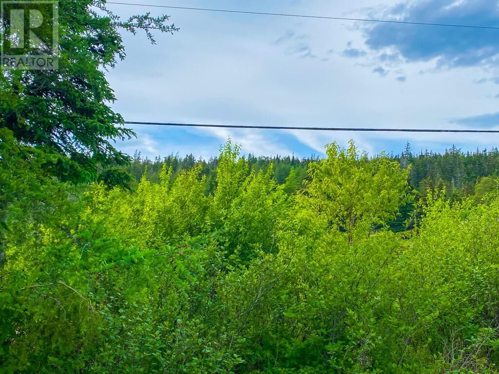 Property Photo:  112 Valley Road  NL A1Y 1A7 