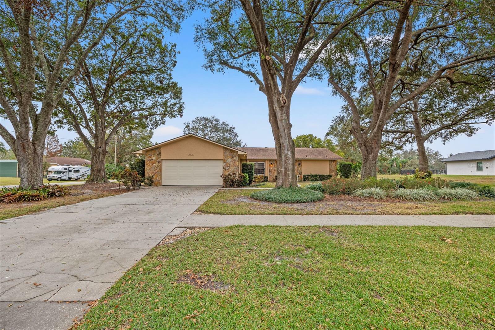 35126 Perch Drive  Zephyrhills FL 33541 photo