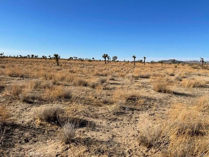 Property Photo:  0 - Vinton Road  CA 92301 