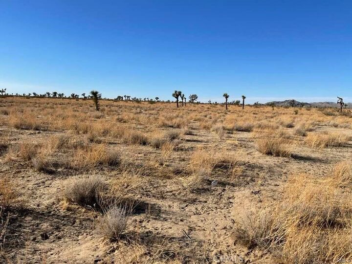 Property Photo:  0 - Vinton Road  CA 92301 