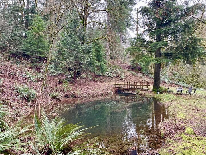 NE 380th Ave  Washougal WA 98671 photo