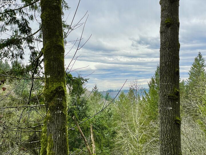 Property Photo: NE 24th St WA 98671