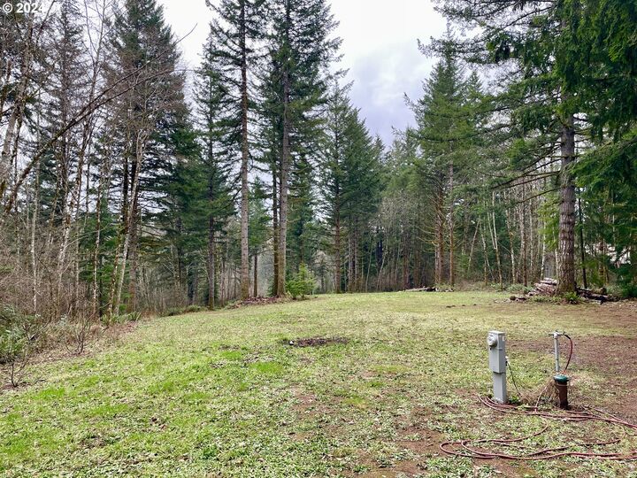 Property Photo:  NE 24th St  WA 98671 