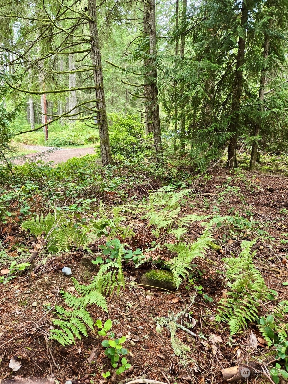 Property Photo:  11119  122nd Avenue Ct  WA 98303 