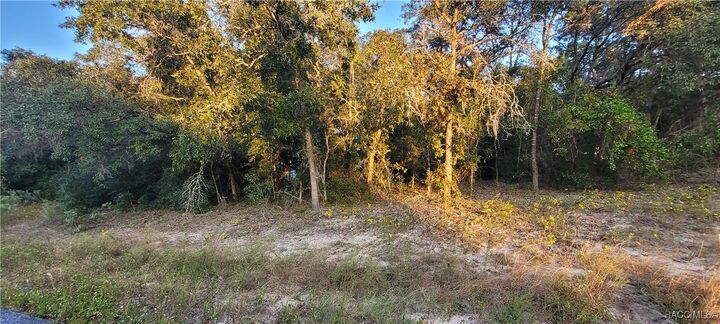 Property Photo: 11377 N Kenney Loop FL 34434