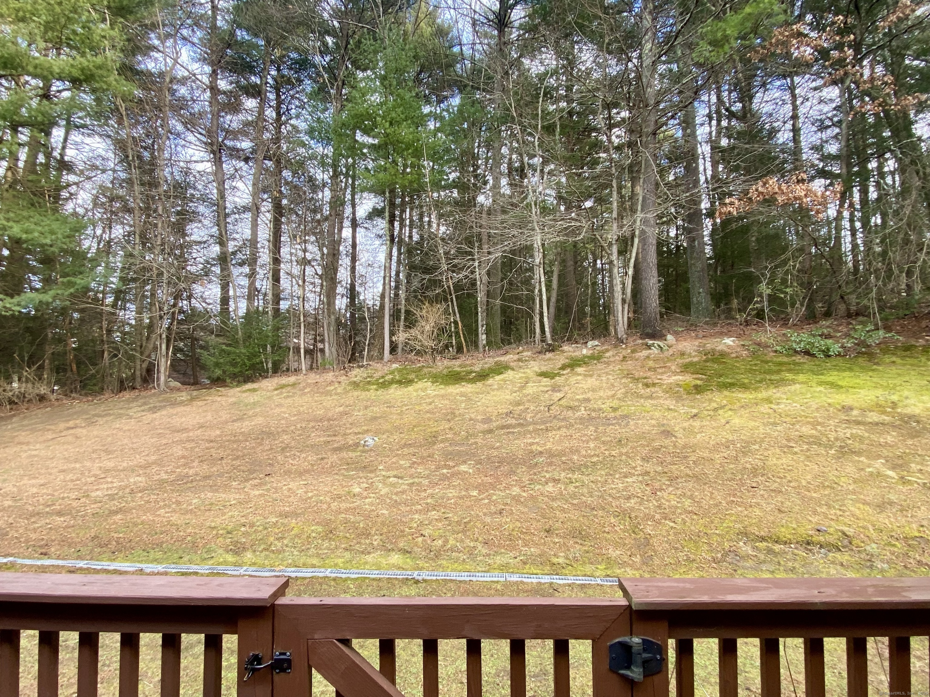 Property Photo:  143 Pine Hill Road 6B  CT 06787 